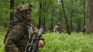 2025 Annual Marine Corps Rifle Squad Competition Day 3: Live Fire with 3rd Battalion, 2nd Marine Regiment (B-Roll)