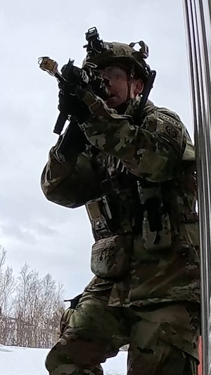 Panther Brigade Soldiers seize the objective from NATO Allies and partners during Swift Response
