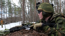 B-Roll: Norwegian Infantry Conduct Force on Force Training Part 1 (4K Video) - Preparing To Defend a Wooded Position