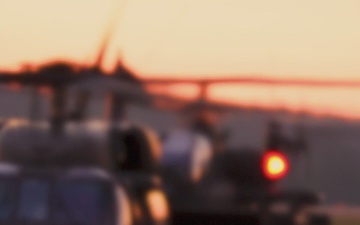 AAW25 Division Run