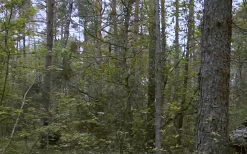 B-Roll: 173rd Airborne Brigade's Attack Company Executes STX Training in Lithuania During Swift Response 2025
