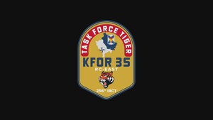 Over 500 soldiers under Task Force Tiger train for upcoming KFOR deployment