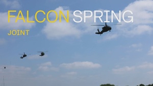 U.S. Army trains with Dutch Army on LSCO
