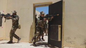 Broll: US, Moroccan Soldiers train in close-quarter combat during African Lion 25