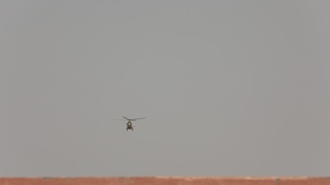 B-roll: Multinational special forces showcase advanced battlefield tactics at African Lion 2025