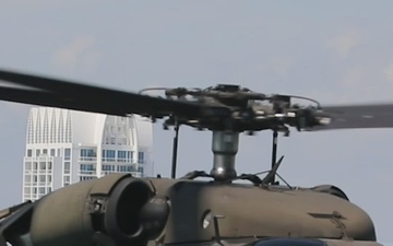 Hyundai &amp; Air Sea Show