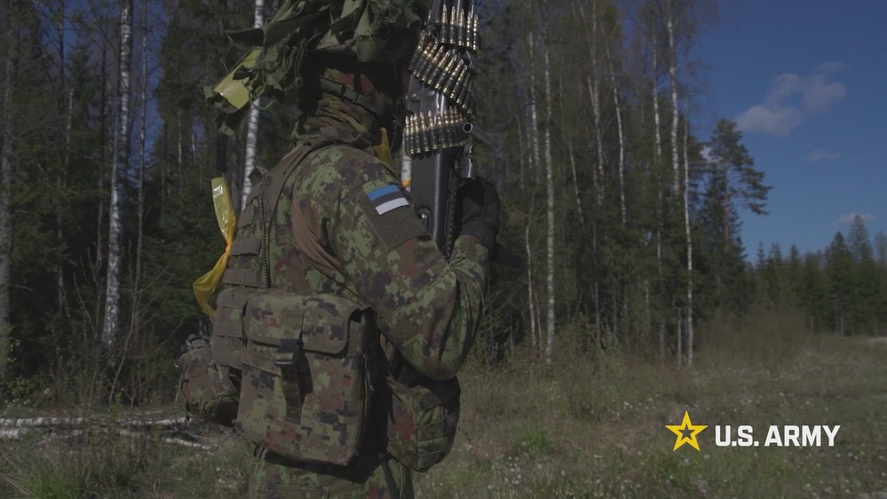 U.S. Soldiers Participate in Exercise Hedgehog 25 in Estonia (Recap)