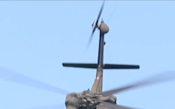Flying Tigers Storm the Beach at the Hyundai Air &amp; Sea Show