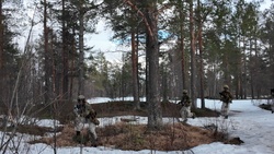 B-Roll: Norwegian Infantry Conduct Force on Force Training (Part 4) - Relieve the Front Line and Conduct a Tactical Retreat (4K Video)