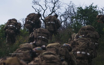 SWTW - TACP