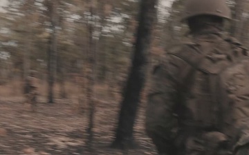 B-Roll: MRF-D 25.3: 2nd Bn., 1st Marines conducts platoon attack range during Predator’s Walk