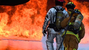 IMSC Team Tuesday: Fire and Emergency Services