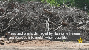 Where the Wood Goes: Inside Debris Recycling