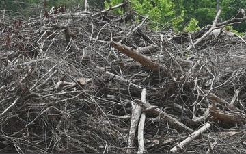 Where the Wood Goes: Inside Debris Recycling