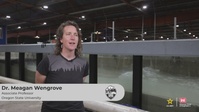 ERDC and OSU Wave Flume Testing