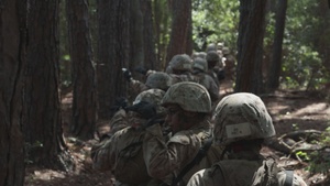Mike Company Day Course
