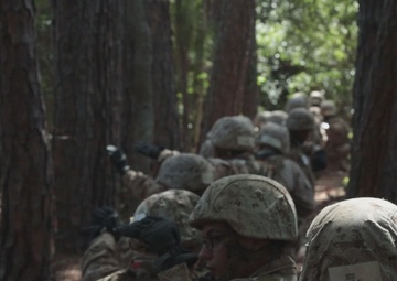 Mike Company Day Course