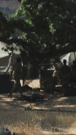 Operation Mojave Falcon - React to UAS