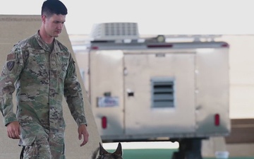 Military Working Dog Zecki Demonstrates Apprehension Training at Creech AFB