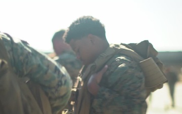 QUART: LCACs, Marines Embark USS Harpers Ferry