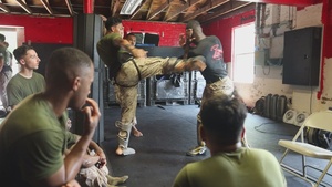 Martial Arts Instructor Course: Striking Drills