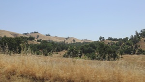 Operation Mojave Falcon