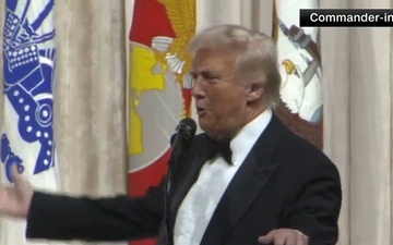 Inauguration Ball Clips