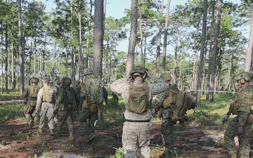 V1/6 MCCRE Fire and Maneuver