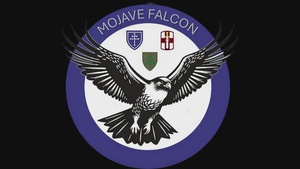 Army Reserve Soliders Support 4th Expeditionary Sustainment Command During Operation Mojave Falcon