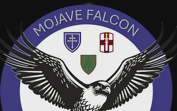 Army Reserve Soliders Support 4th Expeditionary Sustainment Command During Operation Mojave Falcon