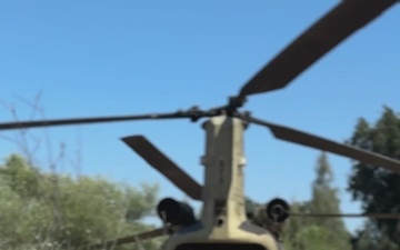 Mojave Falcon 25