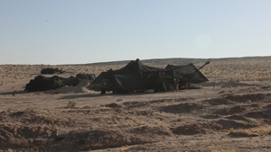 Hotel Battery 3/14 fires Howitzers during ITX 3-25