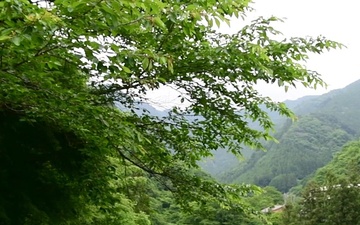 Hiking Safety