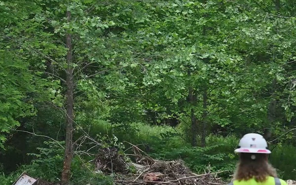 Rocky Ellis: A Symbol of What Remains