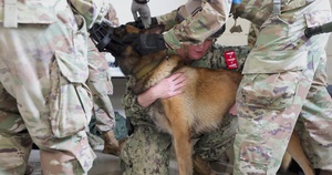 Military Medics Train in Realistic Scenarios During JEMX-25