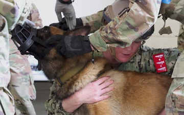Military Medics Train in Realistic Scenarios During JEMX-25