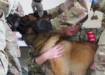 Military Medics Train in Realistic Scenarios During JEMX-25