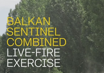 Wet Gap Crossing during Saber Guardian 25 Reel