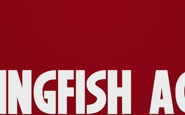 Kingfish ACE Gameplay Overview
