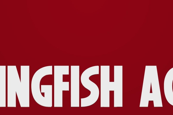 Kingfish ACE Gameplay Overview