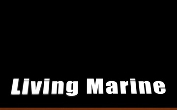 U.S. Coast Guard Living Marine Resources Mission