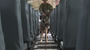 316th Security Forces sweep buses at America’s Airfield for 250th Army Birthday arrival