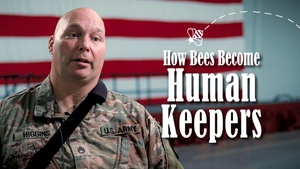 How Bees Become Human Keepers
