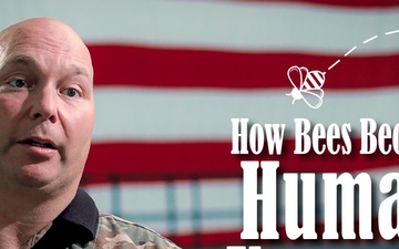 How Bees Become Human Keepers