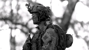 The Sergeant is the Army
