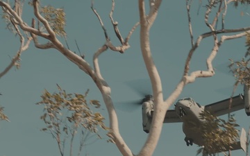 B-Roll: MRF-D 25.3: 2nd Bn., 1st Marines, VMM-363, ADF conduct air assaults during Predator’s Run