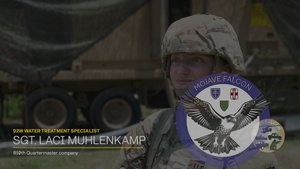 Army Reserve Soliders Support 4th Expeditionary Sustainment Command During Operation Mojave Falcon