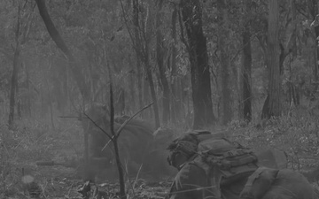 MRF-D 25.3: Predator Series 2025 final video intro