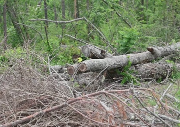 From Questions to Confidence: Mitchell County’s Work with the U.S. Army Corps of Engineers