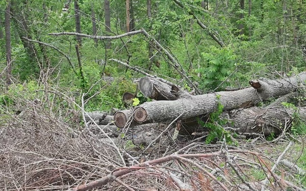 From Questions to Confidence: Mitchell County’s Work with the U.S. Army Corps of Engineers